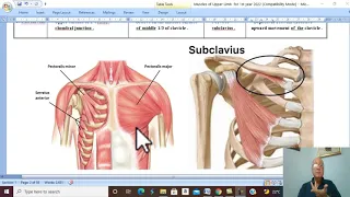 Musculo-skeletal Module I in Arabic 8 ( Muscles of Pectoral Region ) , by Dr. Wahdan 2022