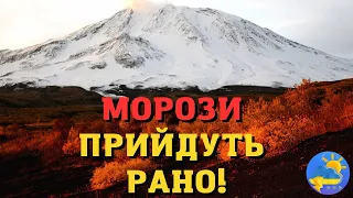 Рано прийдуть заморозки: стало відомо, якою буде погода в Україні восени 2023