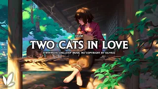 Inum - Two Cats In Love | Synthwave / Chillstep