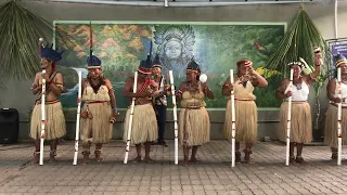 Kizilderili yerlilerin dansi, Brezilya'yi kesfediyoruz #indigenous #dancer #brasil