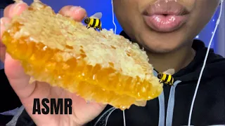 ASMR | Eating Raw Honey Comb 🍯