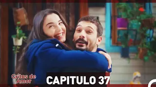 Gritos de Amor Capitulo 37 (Doblaje En Español)