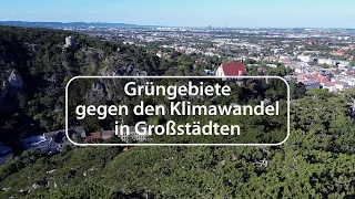 Große Grüngebiete gegen den Klimawandel in Großstädten