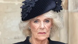 La Dramática Reacción De Camilla Ante Una Reconciliación Con Harry