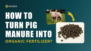 How to turn pig manure into organic fertilizer?