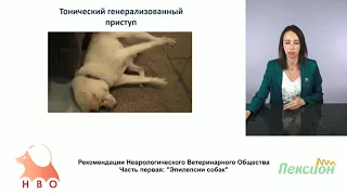 1 - 3 - Коникова Л. С. - Клиническая классификация приступов