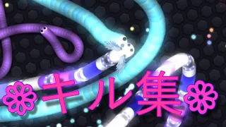 【スリザリオ/slither.io】キル集