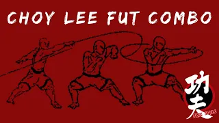 Choy Lee Fut Kung Fu//Combo básico