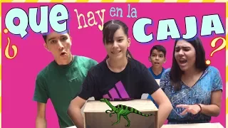 ¿QUÉ HAY EN LA CAJA? / WHAT'S IN THE BOX CHALLENGE /  NatalyPop