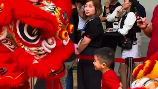 中国龙狮何以在槟城被发扬光大