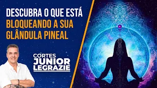 Como os controladores estão bloqueando a sua glândula pineal - [CORTES] Junior Legrazie