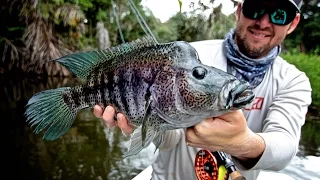 GEOBASS: Nicaragua