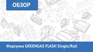 Форсунка GREENGAS FLASH Single/Rail 1 9 Ом, разъем тип Valtek со съемным жиклером