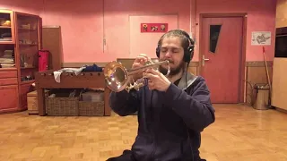 Meshuggah's "Straws Pulled At Random" Outro With Trumpet