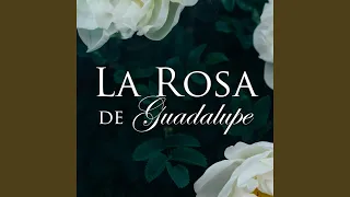 Soundtrack "La Rosa De Guadalupe" 49 Scary Noir