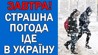 ПОГОДА НА ЗАВТРА : ПОГОДА 5 СІЧНЯ