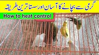 BIRDS KO GARMI BACHANY KA ASAN OR SASTA TARIKA||Shad And Water Mix Item||