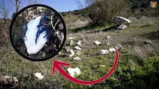 Buscando minerales (cuarzo y turmalina) por la sierra