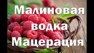 Малиновая водка или малиновый мацерат.Видео 18+