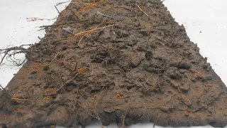 Amazing recovery of a carpet buried in mud by hand - carpet cleaning - carpet washing