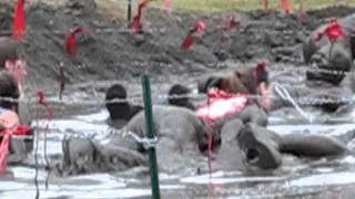 Stacy & Co finishing the 2011 Minnesota Warrior Dash