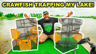 TRAPPING Crawfish at My LAKE for the FIRST TIME!!! (Catch Clean Cook)