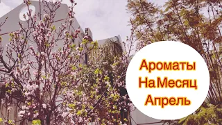 Ароматы на Месяц Апрель 🌸🌸🌸