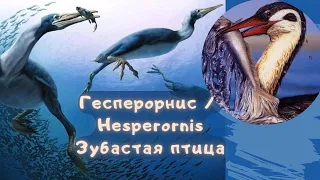 ГЕСПЕРОРНИС | Древняя зубастая птица