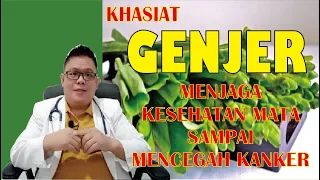 SUKA MAKAN GENJER !!! INI MANFAATNYA UNTUK KESEHATAN TUBUH