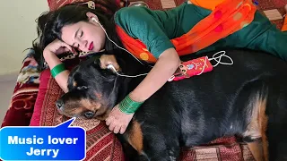 My dog listening music with my wife||funny dog videos |fully trained dog
