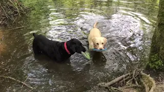 Olive and Mabel. Episode 3 - The Walk of Shame