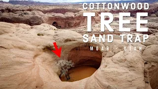 Cottonwood Tree Pothole Sand Trap - Moab, Utah