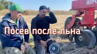 Лайфхак на посеве после льна