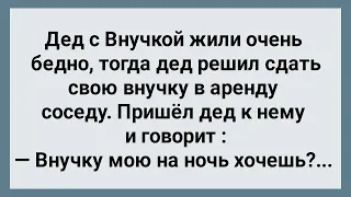 Дед Сдал Внучку Соседу в Аренду! Сборник Свежих Анекдотов! Юмор!