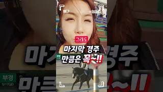 #경마장퇴근길 #마지막경주 #꼭맞추고싶었기에 #고생많으셨어요