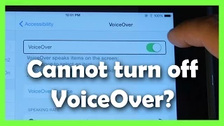 How to Fix Accessibility VoiceOver Problem iPad, iPhone