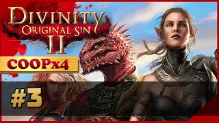 Divinity Original Sin 2 Прохождение Кооператив #3 ▪ Побережье Жнеца