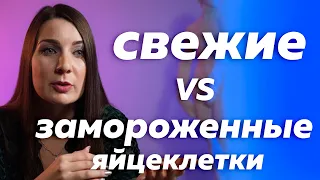 Программа донации яйцеклеток