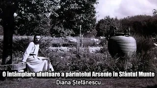 O întamplare uluitoare a Parintelui Arsenie Boca în Sfantul Munte