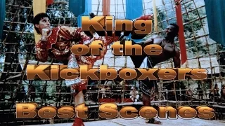 ♚ King of the Kickboxers ♔ Best Scenes