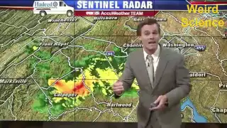 BEST WEATHER NEWS BLOOPERS 2016    NEWS BLOOPERS 2016