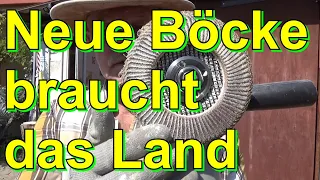 Neue Böcke braucht das Land