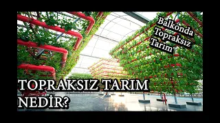 Topraksız Tarım Nedir? - Teorik ve Pratik Bilgilerle, Balkonda Topraksız Tarım Denemesi