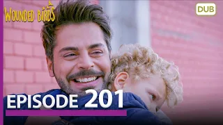 Wounded Birds Episode 201 - Urdu Dubbed | Turkish Drama