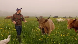 Day in the Life of a Small Farm