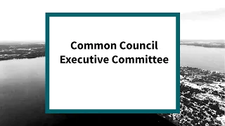 Common Council Executive Committee: Meeting of May 25, 2022