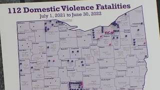 Domestic violence deaths increase among children