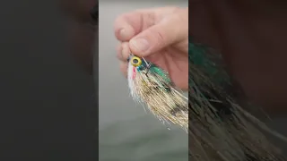 Targeting Monster Pike on the Fly with Paul Clydesdale.