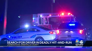 Greenville release vehicle description in hit-and-run