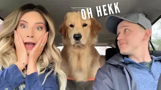 My Dog Reacts to Car Wash